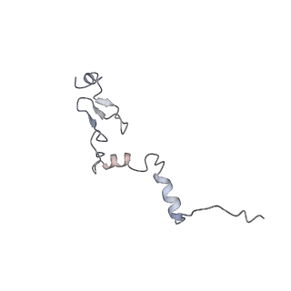 3152_5apn_j_v1-4
Structure of the yeast 60S ribosomal subunit in complex with Arx1, Alb1 and N-terminally tagged Rei1