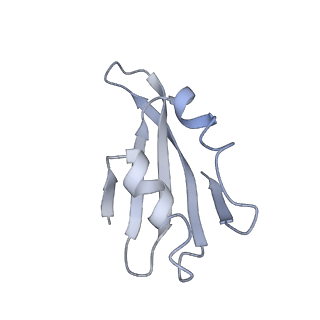 3152_5apn_k_v1-4
Structure of the yeast 60S ribosomal subunit in complex with Arx1, Alb1 and N-terminally tagged Rei1