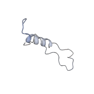 3152_5apn_l_v1-4
Structure of the yeast 60S ribosomal subunit in complex with Arx1, Alb1 and N-terminally tagged Rei1