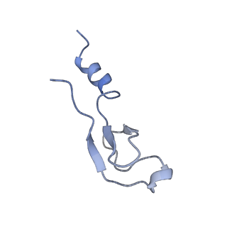 3152_5apn_m_v1-4
Structure of the yeast 60S ribosomal subunit in complex with Arx1, Alb1 and N-terminally tagged Rei1