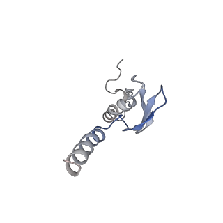 3152_5apn_p_v1-4
Structure of the yeast 60S ribosomal subunit in complex with Arx1, Alb1 and N-terminally tagged Rei1