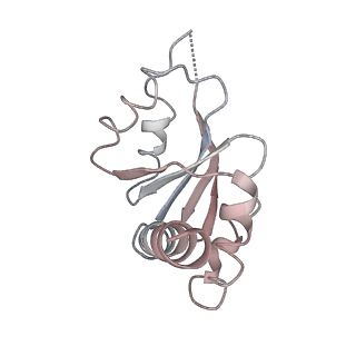 3152_5apn_q_v1-4
Structure of the yeast 60S ribosomal subunit in complex with Arx1, Alb1 and N-terminally tagged Rei1