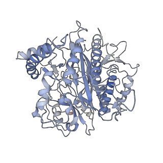 3152_5apn_x_v1-4
Structure of the yeast 60S ribosomal subunit in complex with Arx1, Alb1 and N-terminally tagged Rei1