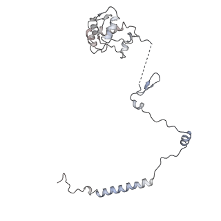 3152_5apn_y_v1-4
Structure of the yeast 60S ribosomal subunit in complex with Arx1, Alb1 and N-terminally tagged Rei1