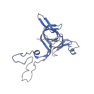 11862_7aqc_D_v1-2
Structure of the bacterial RQC complex (Decoding State)