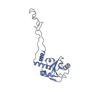 11862_7aqc_E_v1-2
Structure of the bacterial RQC complex (Decoding State)