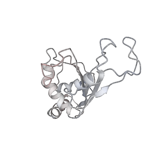 11862_7aqc_F_v1-2
Structure of the bacterial RQC complex (Decoding State)