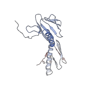 11862_7aqc_G_v1-2
Structure of the bacterial RQC complex (Decoding State)