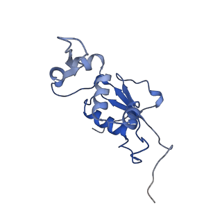11862_7aqc_J_v1-2
Structure of the bacterial RQC complex (Decoding State)