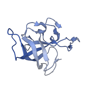 11862_7aqc_K_v1-2
Structure of the bacterial RQC complex (Decoding State)