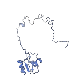 11862_7aqc_L_v1-2
Structure of the bacterial RQC complex (Decoding State)