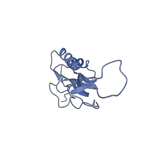 11862_7aqc_M_v1-2
Structure of the bacterial RQC complex (Decoding State)