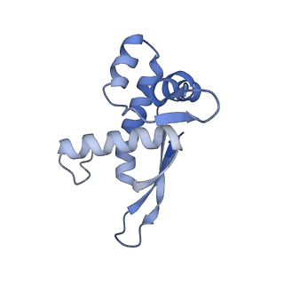 11862_7aqc_N_v1-2
Structure of the bacterial RQC complex (Decoding State)