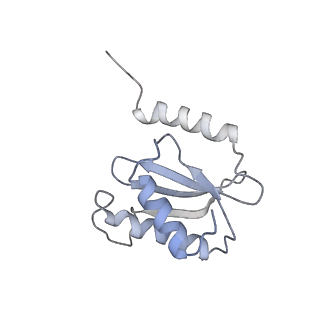 11862_7aqc_O_v1-2
Structure of the bacterial RQC complex (Decoding State)
