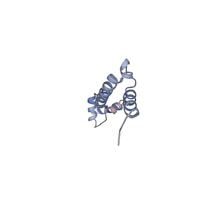 11862_7aqc_Q_v1-2
Structure of the bacterial RQC complex (Decoding State)