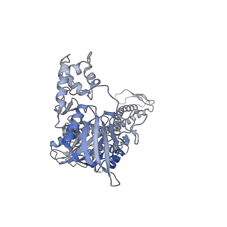 11862_7aqc_R_v1-2
Structure of the bacterial RQC complex (Decoding State)