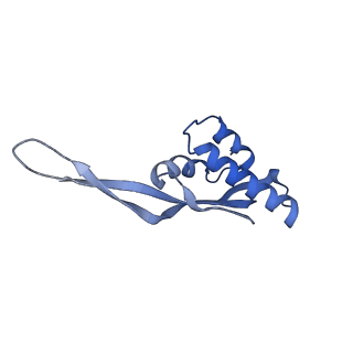 11862_7aqc_S_v1-2
Structure of the bacterial RQC complex (Decoding State)