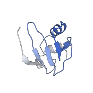 11862_7aqc_Y_v1-2
Structure of the bacterial RQC complex (Decoding State)