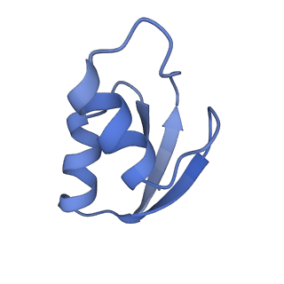 11862_7aqc_Z_v1-2
Structure of the bacterial RQC complex (Decoding State)