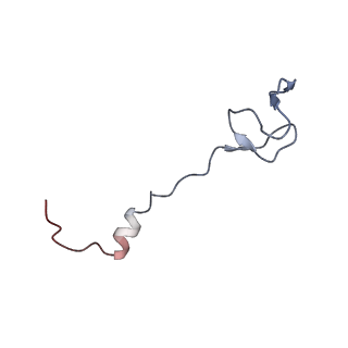 11862_7aqc_b_v1-2
Structure of the bacterial RQC complex (Decoding State)