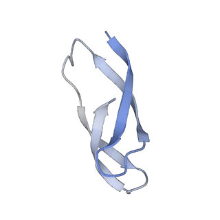 11862_7aqc_c_v1-2
Structure of the bacterial RQC complex (Decoding State)