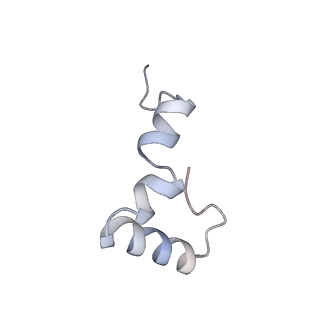 11862_7aqc_d_v1-2
Structure of the bacterial RQC complex (Decoding State)