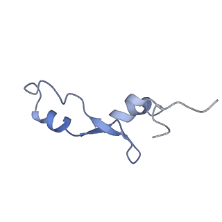 11862_7aqc_e_v1-2
Structure of the bacterial RQC complex (Decoding State)
