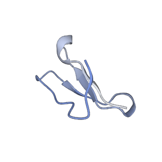 11862_7aqc_f_v1-2
Structure of the bacterial RQC complex (Decoding State)