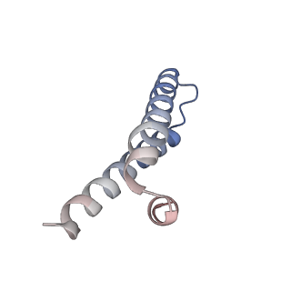 11862_7aqc_i_v1-2
Structure of the bacterial RQC complex (Decoding State)