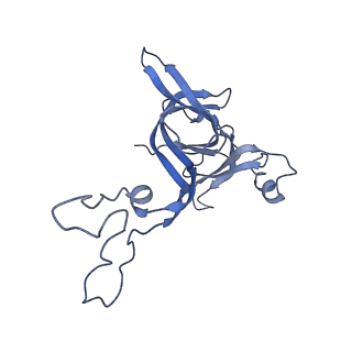 11864_7aqd_D_v1-2
Structure of the bacterial RQC complex (Translocating State)