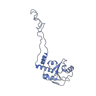 11864_7aqd_E_v1-2
Structure of the bacterial RQC complex (Translocating State)