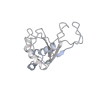 11864_7aqd_F_v1-2
Structure of the bacterial RQC complex (Translocating State)