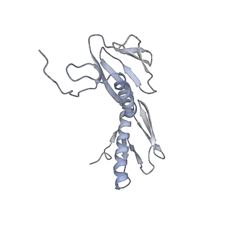 11864_7aqd_G_v1-2
Structure of the bacterial RQC complex (Translocating State)