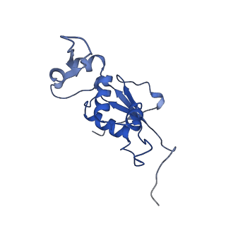 11864_7aqd_J_v1-2
Structure of the bacterial RQC complex (Translocating State)