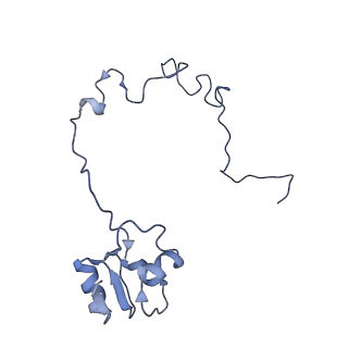 11864_7aqd_L_v1-2
Structure of the bacterial RQC complex (Translocating State)
