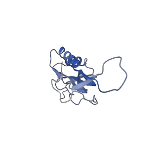 11864_7aqd_M_v1-2
Structure of the bacterial RQC complex (Translocating State)