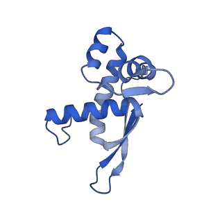 11864_7aqd_N_v1-2
Structure of the bacterial RQC complex (Translocating State)