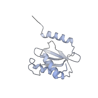 11864_7aqd_O_v1-2
Structure of the bacterial RQC complex (Translocating State)