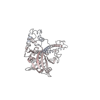 11864_7aqd_R_v1-2
Structure of the bacterial RQC complex (Translocating State)