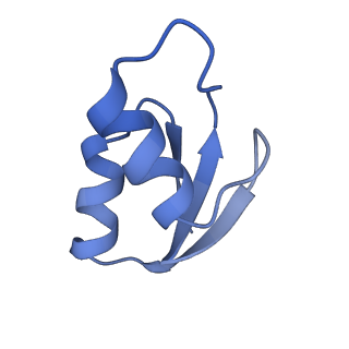 11864_7aqd_Z_v1-2
Structure of the bacterial RQC complex (Translocating State)