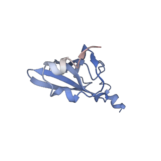 11864_7aqd_a_v1-2
Structure of the bacterial RQC complex (Translocating State)