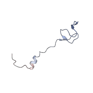11864_7aqd_b_v1-2
Structure of the bacterial RQC complex (Translocating State)