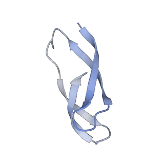 11864_7aqd_c_v1-2
Structure of the bacterial RQC complex (Translocating State)