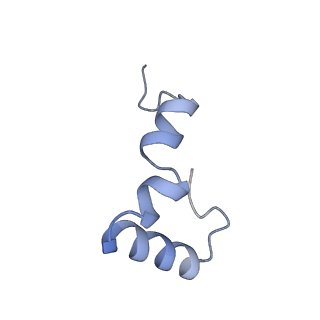 11864_7aqd_d_v1-2
Structure of the bacterial RQC complex (Translocating State)