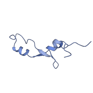 11864_7aqd_e_v1-2
Structure of the bacterial RQC complex (Translocating State)