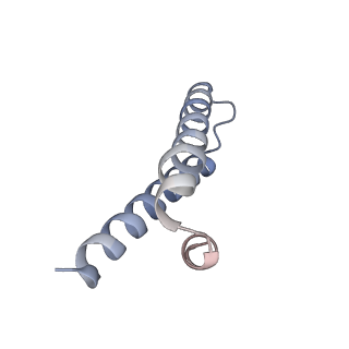 11864_7aqd_i_v1-2
Structure of the bacterial RQC complex (Translocating State)