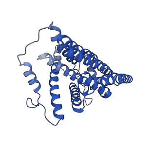 11872_7aqq_H_v1-0
Cryo-EM structure of Arabidopsis thaliana Complex-I (membrane core)