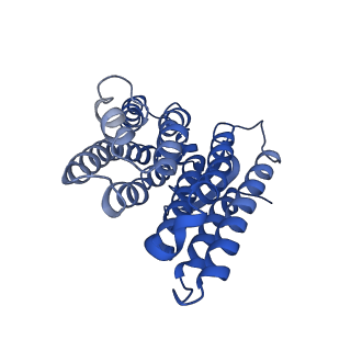 11872_7aqq_M_v1-0
Cryo-EM structure of Arabidopsis thaliana Complex-I (membrane core)