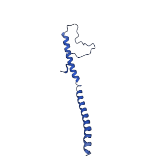 11872_7aqq_Z_v1-0
Cryo-EM structure of Arabidopsis thaliana Complex-I (membrane core)