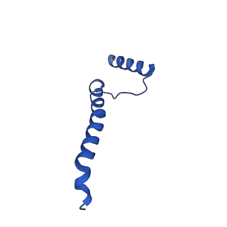 11872_7aqq_a_v1-0
Cryo-EM structure of Arabidopsis thaliana Complex-I (membrane core)